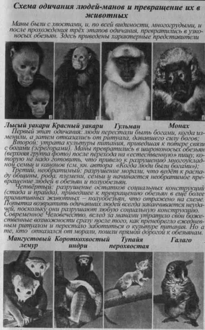 и гоблины параллельные разумные виды происшедшие от нагов Скелеты - фото 24