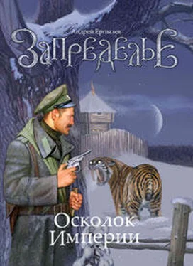 Андрей Ерпылев Запределье. Осколок империи обложка книги