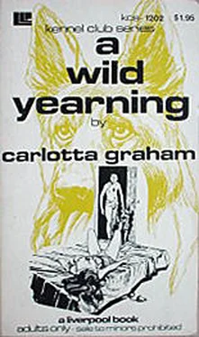 Carlotta Graham A wild yearning обложка книги