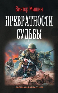 Виктор Мишин Превратности судьбы обложка книги