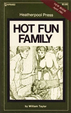 William Taylor Hot fun family обложка книги