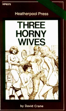 David Crane Three horny wives обложка книги