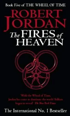 Robert Jordan The Fires of Heaven обложка книги