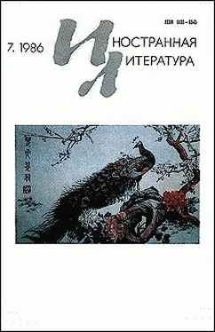 Миклош Тот-Матэ Рассказы обложка книги