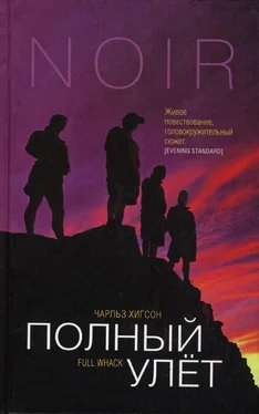 Чарльз Хигсон Полный улет обложка книги