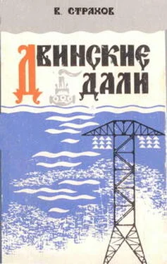 Виктор Страхов Двинские дали обложка книги