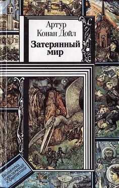 Артур Конан-Дойл Затерянный мир (сборник) обложка книги