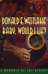 Дональд Уэстлейк - Baby, Would I Lie?