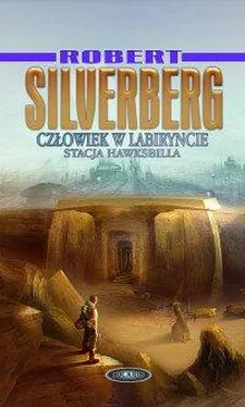 Robert Silverberg Stacja Hawksbilla обложка книги