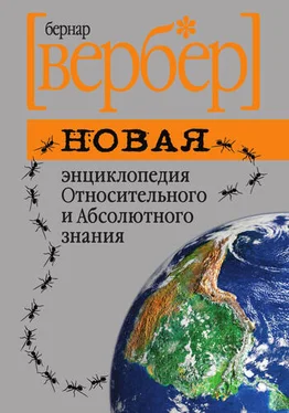 Бернар Вербер Новая энциклопедия Относительного и Абсолютного знания обложка книги