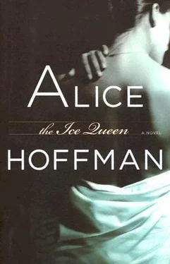 Alice Hoffman The Ice Queen обложка книги