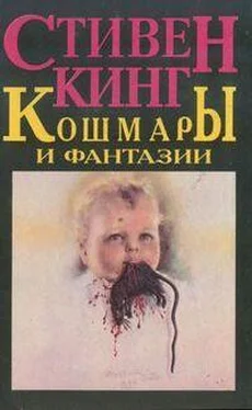 Стивен Кинг Ночной Летун обложка книги
