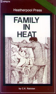 C Ralston Family in heat обложка книги