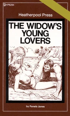 Pamela James The widow_s young lovers обложка книги