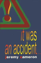 Джереми Камерон - Чисто случайно