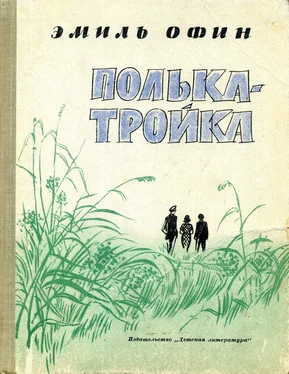 Эмиль Офин Полька – тройка обложка книги