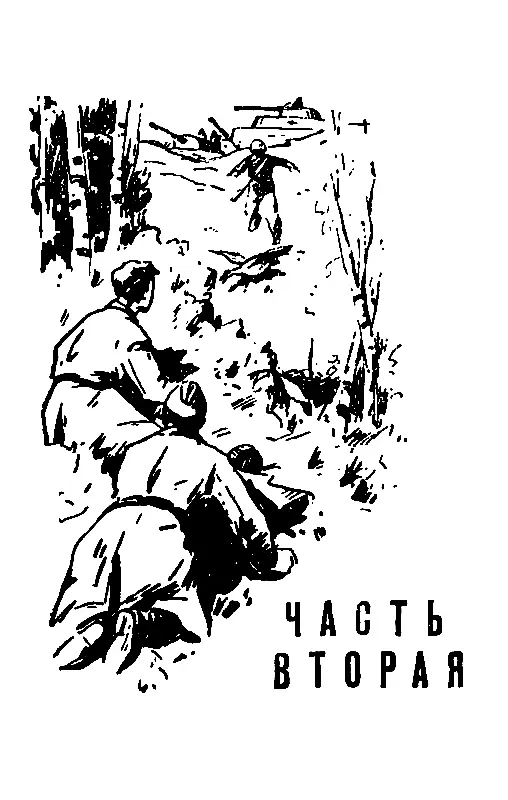 ЧАСТЬ ВТОРАЯ 1 Мы вступили в осинник где стояли недавно наши тылы Здесь все - фото 6