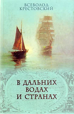 Всеволод Крестовский В дальних водах и странах. т. 2 обложка книги