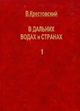 Всеволод Крестовский В дальних водах и странах. т. 1 обложка книги