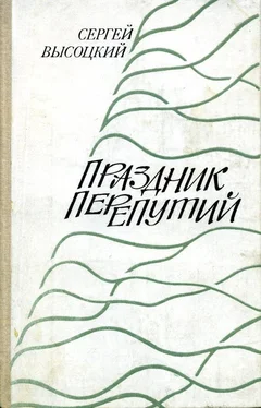 Сергей Высоцкий Праздник перепутий обложка книги