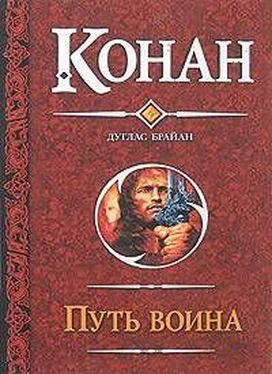 Дуглас Брайан Крыланы из Шадизара обложка книги