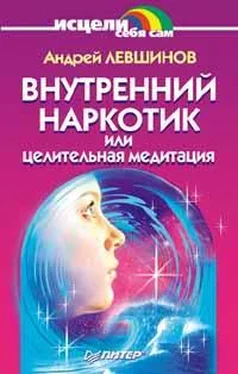 Андрей Левшинов Внутренний наркотик или Целительная медитация обложка книги