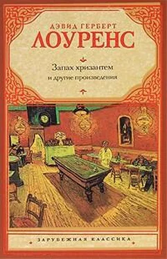 Дэвид Герберт Лоуренс Крестины обложка книги