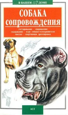 Неизвестный Автор Собака сопровождения обложка книги