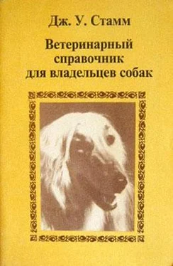 Неизвестный Автор Ветеринарный справочник для владельцев собак обложка книги