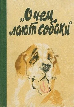 Неизвестный Автор О чем лают собаки обложка книги