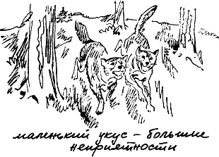 Co своей собакой это сделать гораздо легче потому что вы знаете ее характер - фото 128