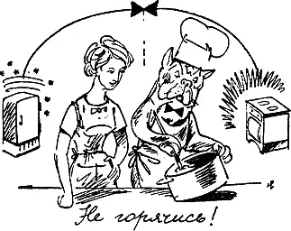 Мясо разрезается на мелкие кусочки или пропускается через мясорубку Кости - фото 81