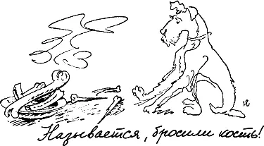 Они содержат кальций белки клейковину и другие ценные вещества необходимые - фото 84