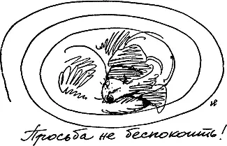 Этот отдых необходим для полного использования питательных веществ и особенно - фото 95