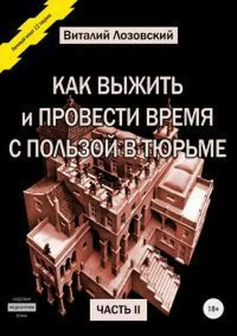 Виталий Лозовский Как выжить и провести время с пользой в тюрьме. Часть 2 обложка книги