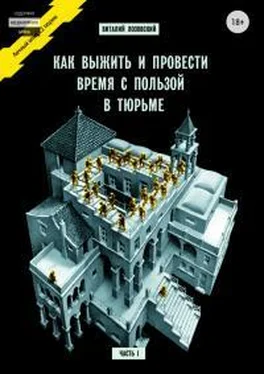 Виталий Лозовский Как выжить и провести время с пользой в тюрьме. Часть 1 обложка книги