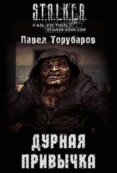 Павел Торубаров - Дурная привычка
