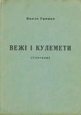 Павло Грицак Вежі і кулемети. Спогади з Дивізії і большевицького полону обложка книги