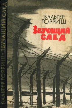 Вальтер Горриш Звучащий след обложка книги