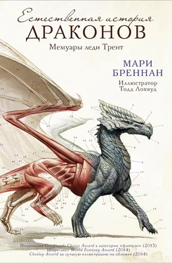 Мари Бреннан Естественная история драконов: Мемуары леди Трент обложка книги