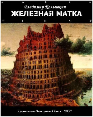 Владимир Колышкин Железная матка обложка книги