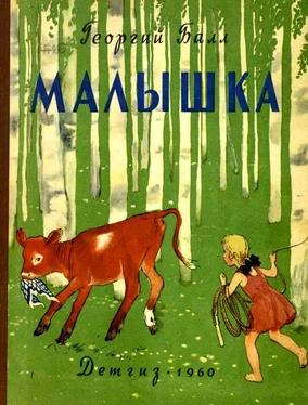 Георгий Балл Малышка обложка книги