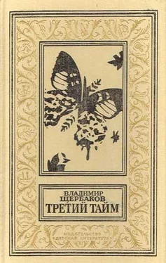 Владимир Щербаков Третий тайм (сборник)