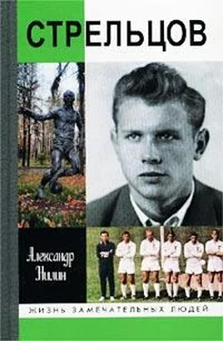 Александр Нилин Стрельцов. Человек без локтей обложка книги