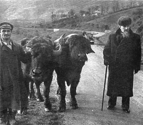 И В Курчатов у своего домика лесника Ф ЖолиоКюри И В Курчатов Д - фото 36