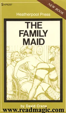 David Crane The family maid обложка книги