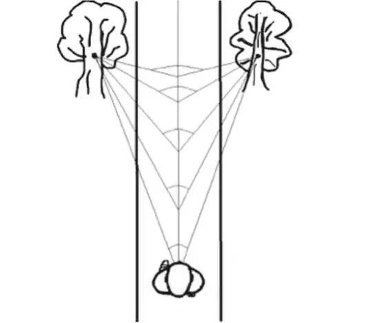 Рис 15 Примерно так Извините не художник я УПРАЖНЕНИЕ идя по улице - фото 9