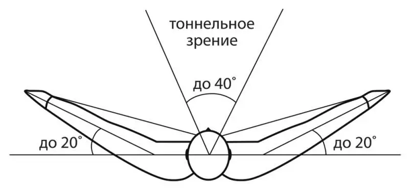 Рис 14 Для водителя очень важна способность видеть что происходит впереди - фото 8