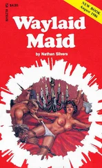 Nathan Silvers - Waylaid maid