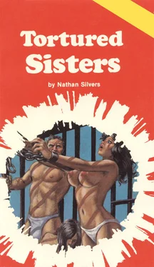 Nathan Silvers Tortured sisters обложка книги